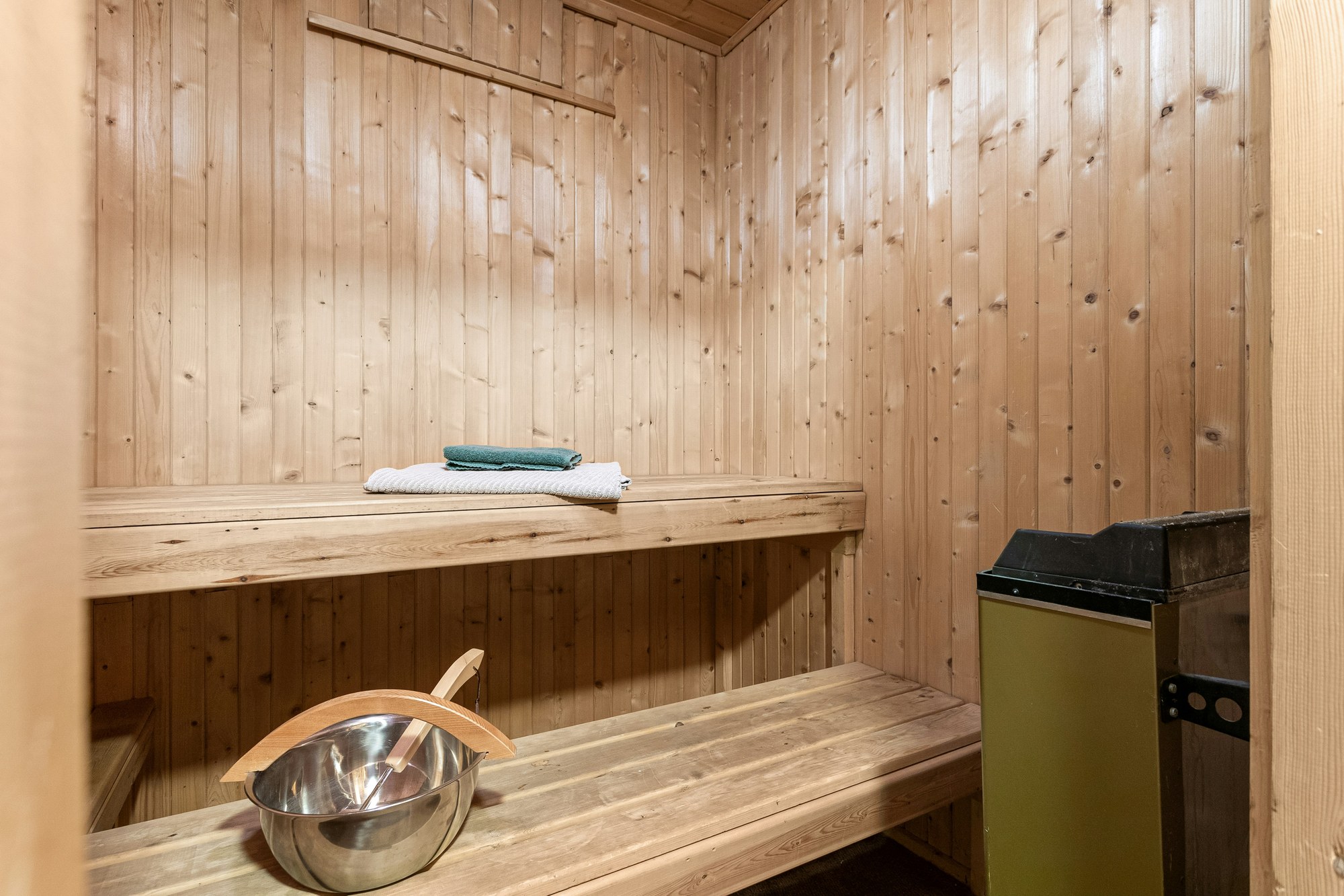 Traditional Saunas detail